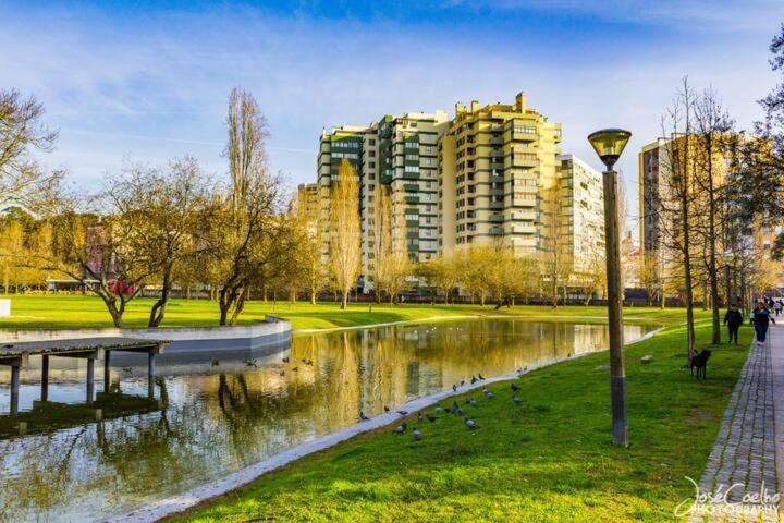 Green Executive Apartment In The Heart Of Lisboa Екстериор снимка